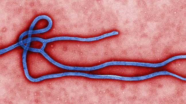 Congo confirms arrival of experimental Ebola Vaccines 