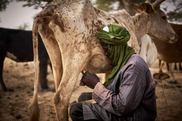 hunger in mali