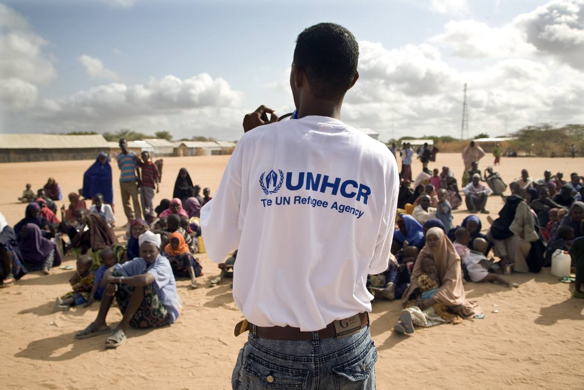 Unhcr Reports 35000 Nigerian Refugees In Cameroon Plus Tv Africa
