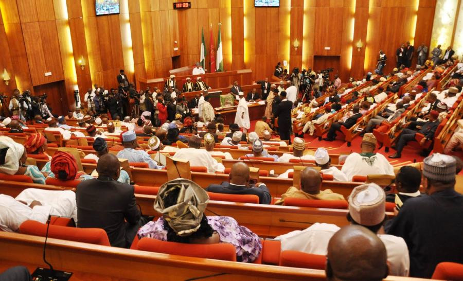 Unemployment: Senate Probes N.D.E. Over Recruitment Of 774,000 Nigerians -  Plus TV Africa