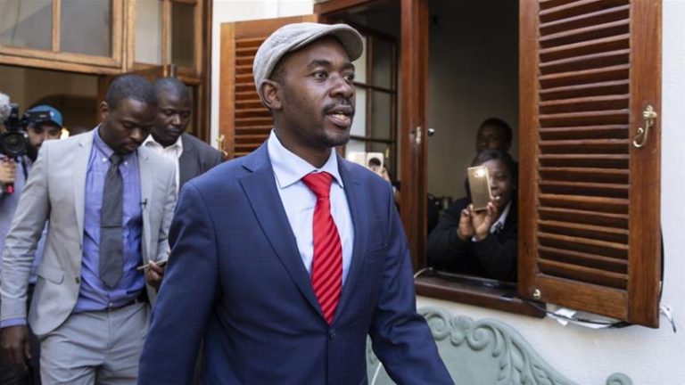 Nelson Chamisa calls MDC Protesters ‘Stupid’