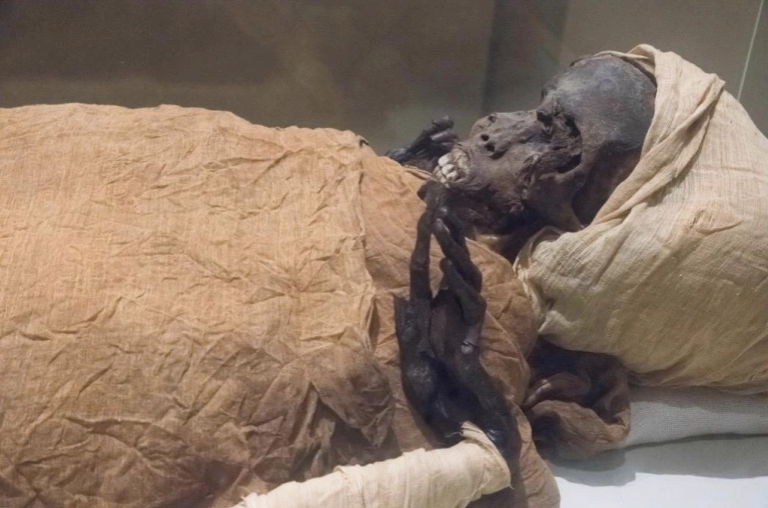 Egypt moves 22 Royal Mummies to Final Destination in Grand Parade