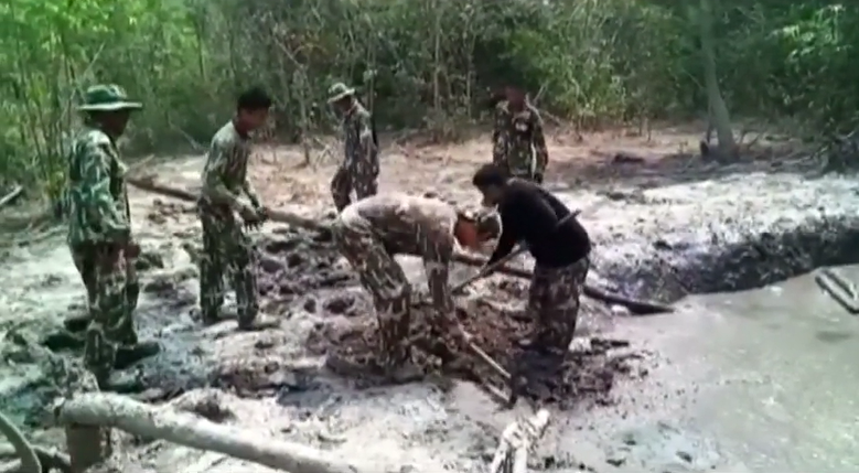 Six baby elephants rescued from mud pond in Thailand (Photos)