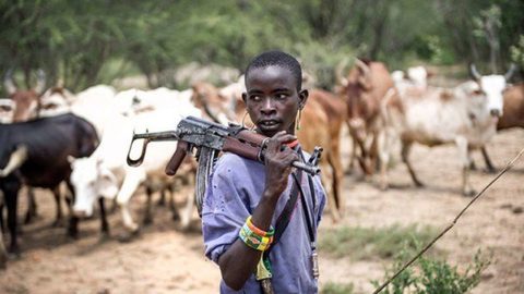Herdsmen Attack Renders Over 140 Families Homeless In Adamawa