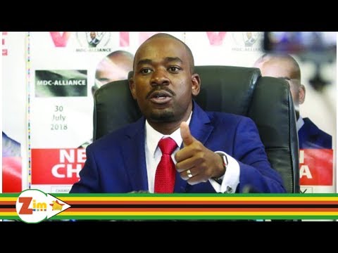 Zimbabwe: Biti, Komichi and 7 Others Wanted by ZRP 