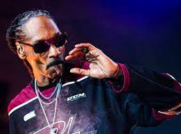 Snoop Dogg Says He's Not Smoking At 2022 MTV Movie & TV Awards: 'I've  Changed My Ways' (Exclusive)