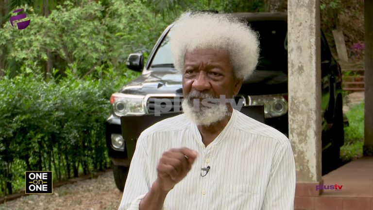 Soyinka: Something is dead, something has gone wrong with the humanity of this Nation